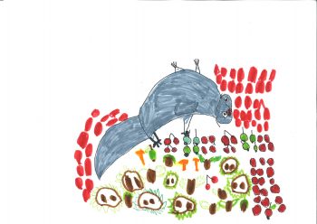 Dessin de Lucas