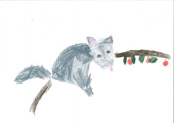 Dessin de Antoine
