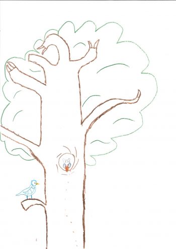 Dessin de Timo