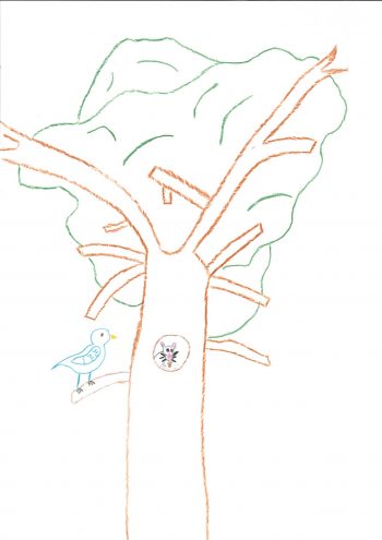 Dessin de Sam