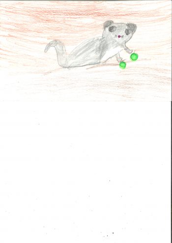 Dessin de Mélissa