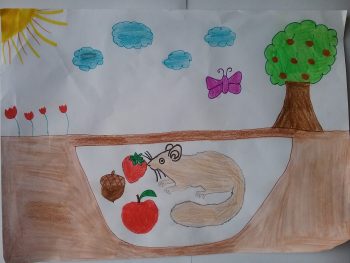Dessin de Amandine