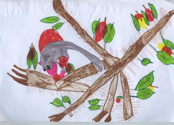 Dessin de Charlotte