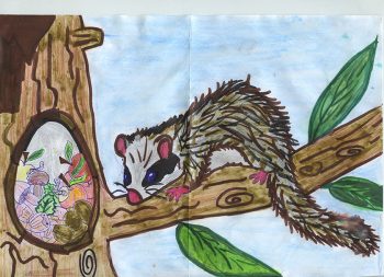 Dessin de Elisa