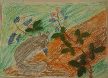 Dessin de Marie-Alice
