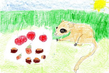 Dessin de Jeanne