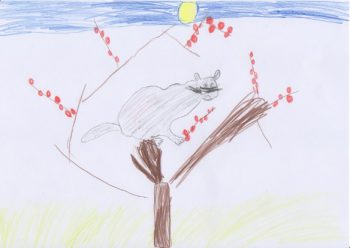 Dessin de Kaila