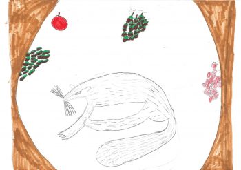 Dessin de Nolwenn