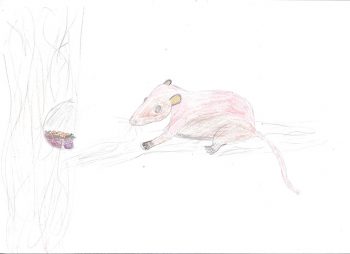 Dessin de Lola