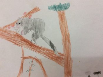 Dessin de Louise