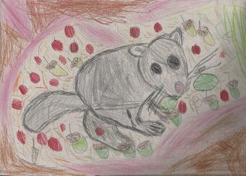 Dessin de Martin