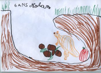 Dessin de Nolan