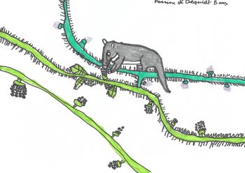 Dessin de Perrine