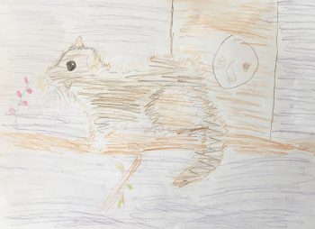 Dessin de Valentin