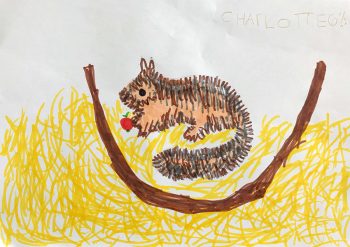 Dessin de Charlotte