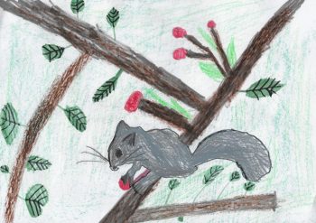 Dessin de Ilario