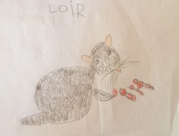 Dessin de Kanda