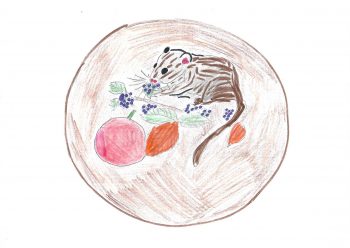 Dessin de Sabrina