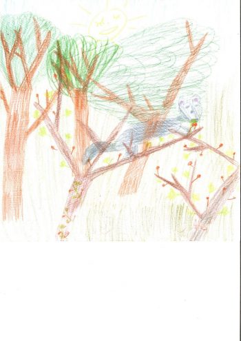 Dessin de Noemi