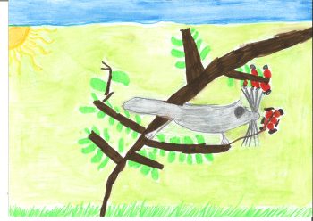 Dessin de Numa
