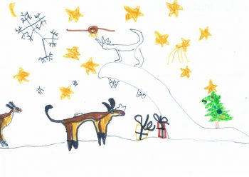 Dessin de Colin
