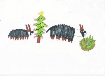 Dessin de Lucie