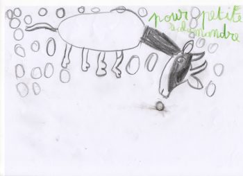 Dessin de Malo