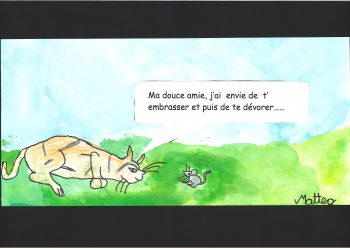 Dessin de Matteo