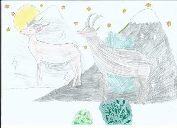 Dessin de Mila