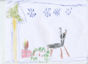Dessin de Numa