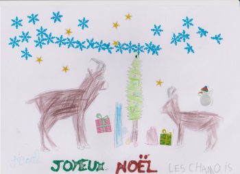 Dessin de Noah