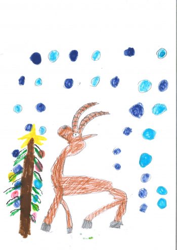Dessin de Robin