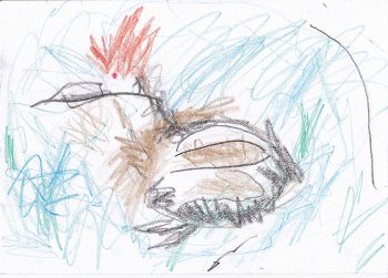 Dessin de Hugo