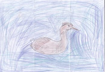 Dessin de Zoé