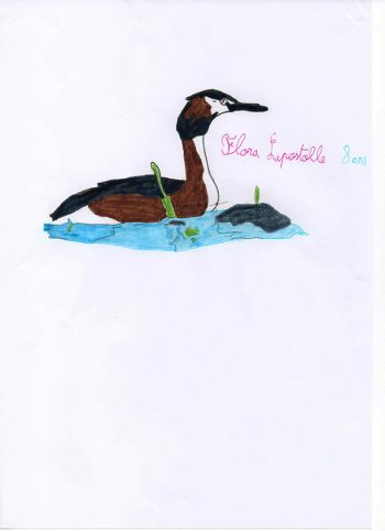Dessin de Flora