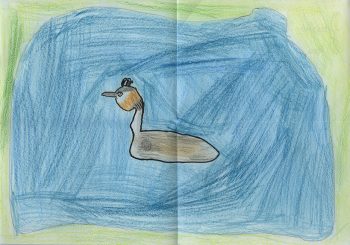 Dessin de Faustine