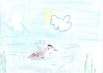 Dessin de Louise