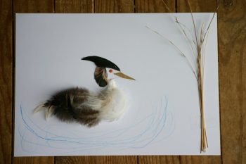 Dessin de Luce