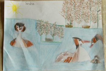 Dessin de Sandra