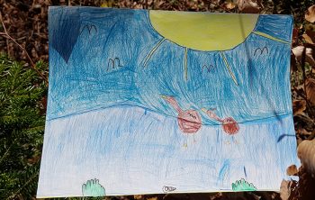 Dessin de Noan