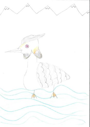 Dessin de isabel