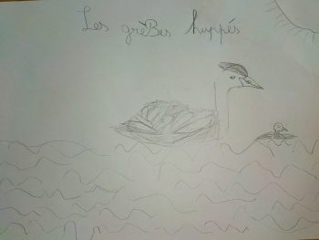 Dessin de Silas