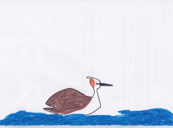 Dessin de Titouan