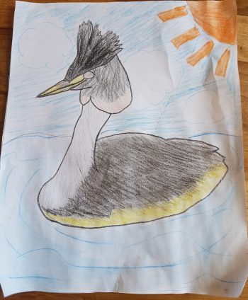 Dessin de Noémi