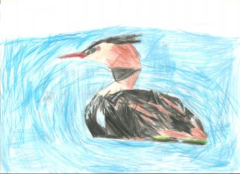 Dessin de David
