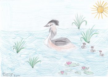 Dessin de Manon