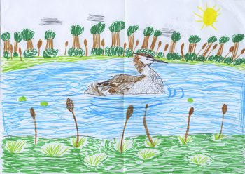 Dessin de Andres