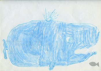 Dessin de Apolline