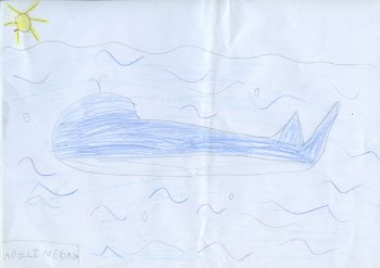 Dessin de Apolline