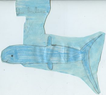Dessin de Baptiste